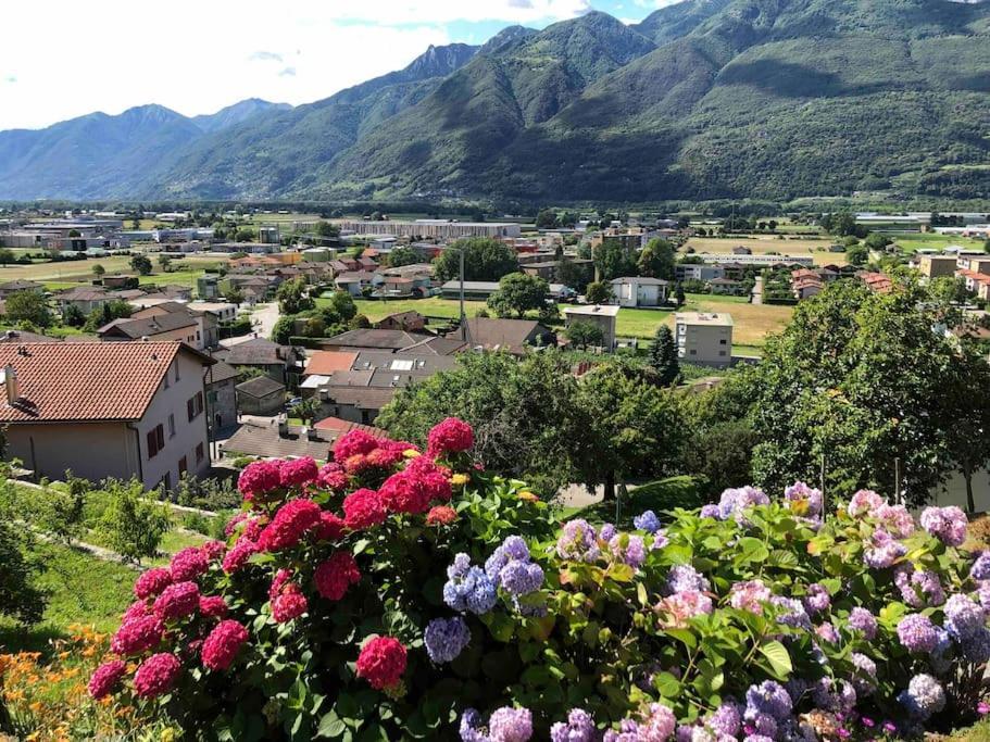 Sinergia E Benessere Sant'Antonio ภายนอก รูปภาพ